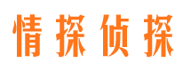 宁江市婚外情调查